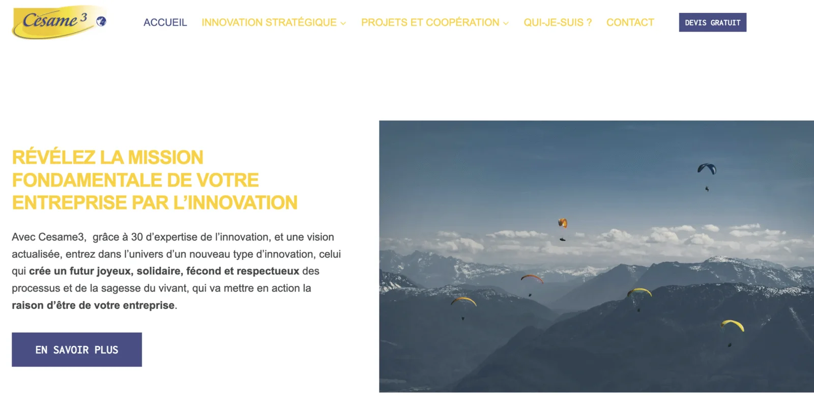 Césame 3 innovation et stratégie