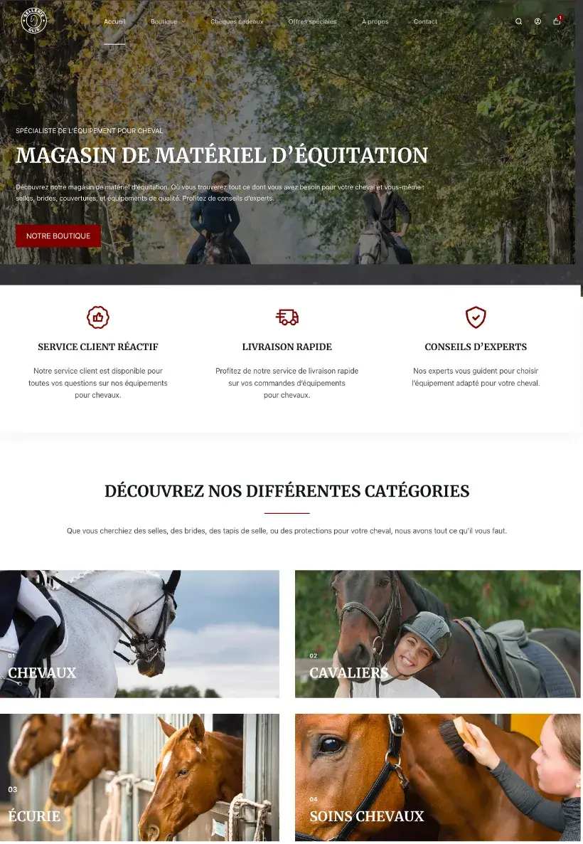 Sellerie OLIS boutique équitation en ligne