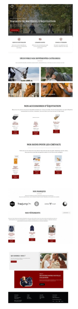 site vitrine artisan