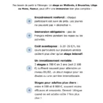 Étudiant néerlandais créant un site WordPress en Belgique