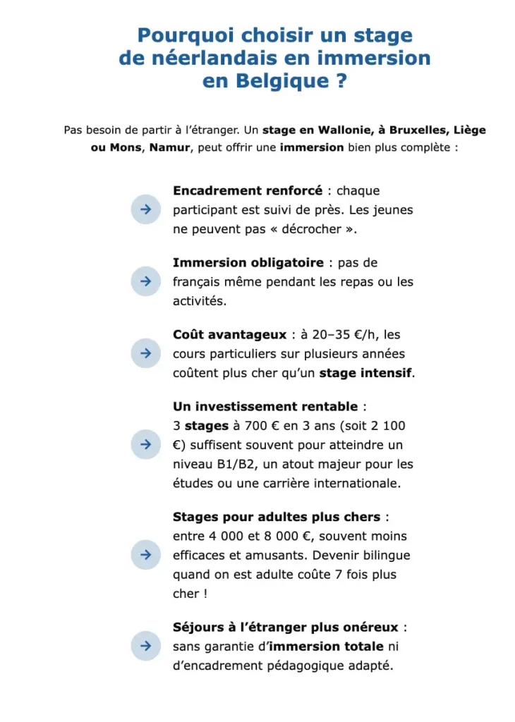 Étudiant néerlandais créant un site WordPress en Belgique