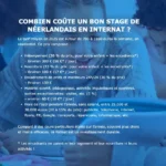 Création d’un site WordPress bilingue en Belgique