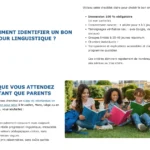 Stage Belgique : développement WordPress pour néerlandophones